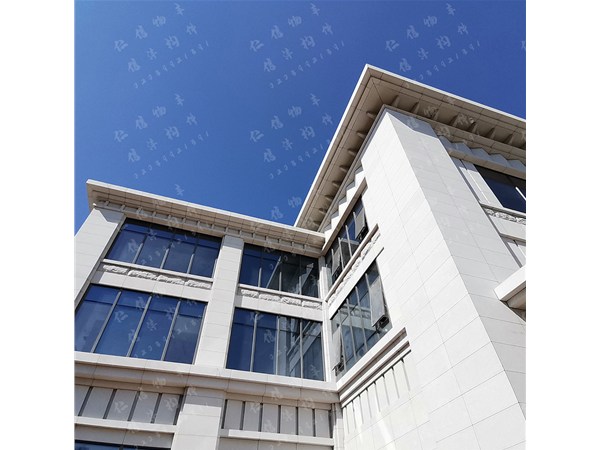 大湾区院士交流中心